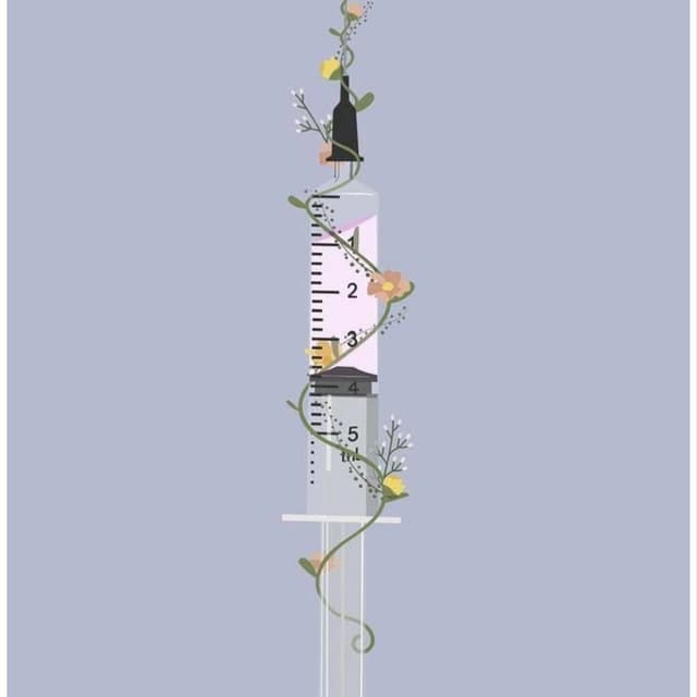 4 Injection Package at Rustic Roots Aesthetics in Trinity, FL