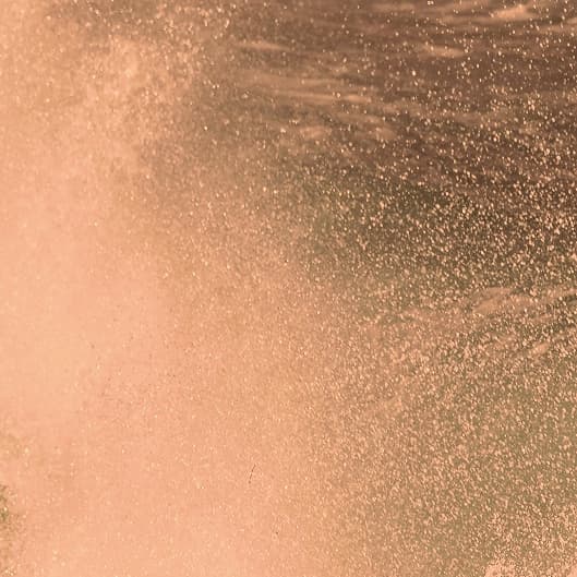 Gold at Rustic Roots Aesthetics in Trinity, FL